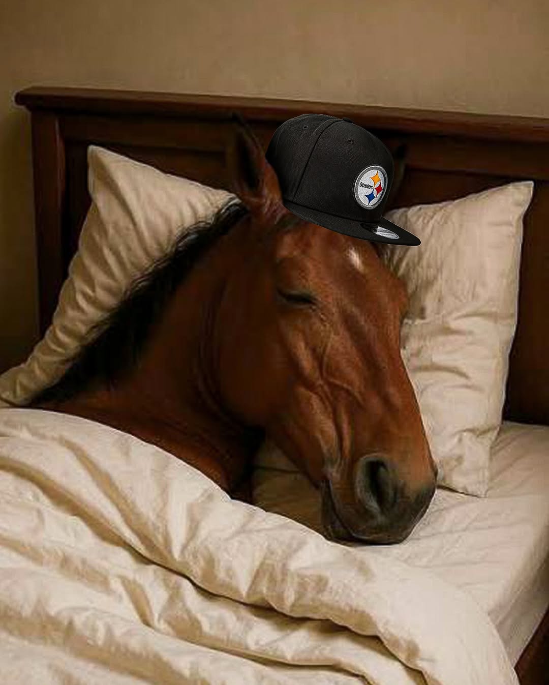 Hitting the hay 😴