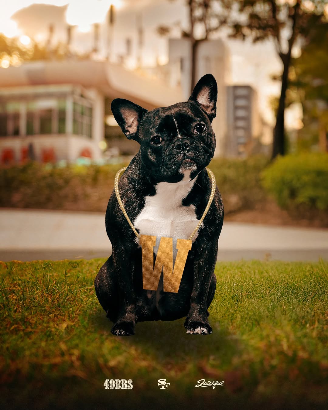 Who let the dawgs out 🐕