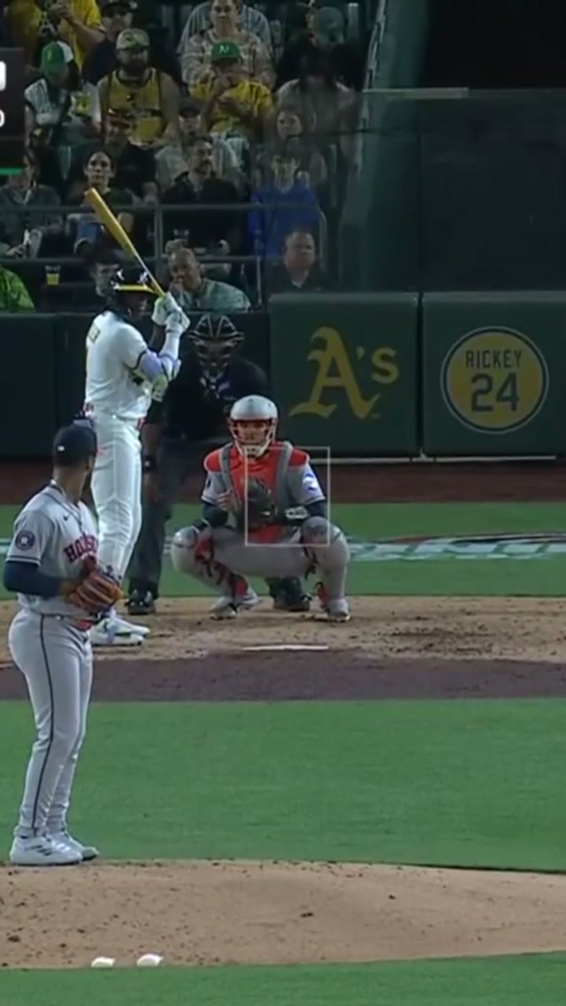 laid down the LAW 😤