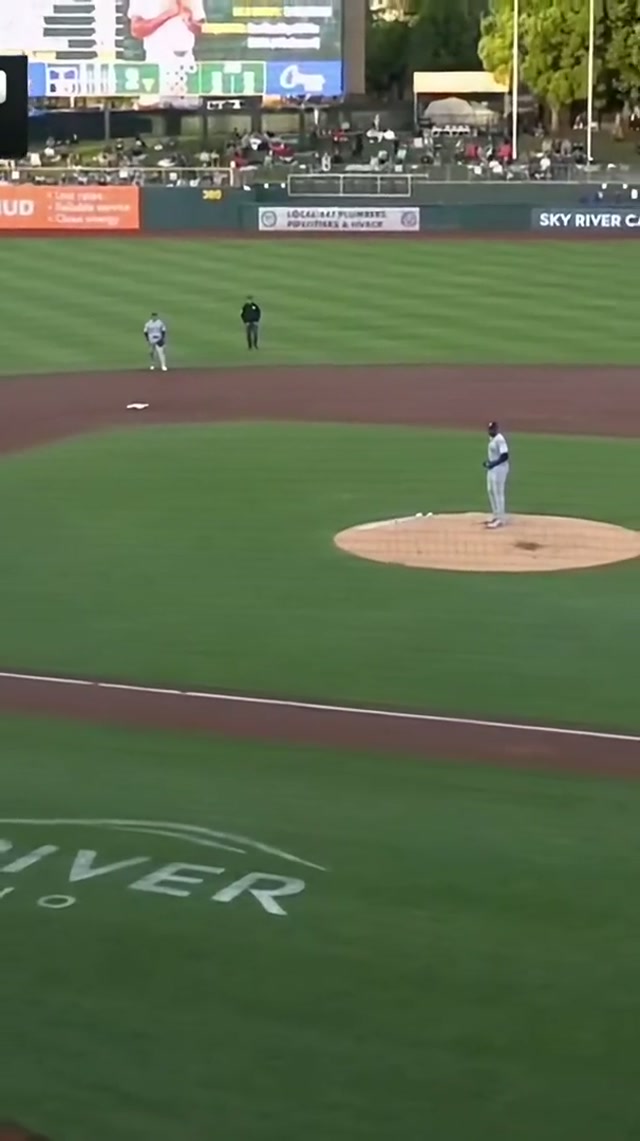 Denz knocks another in 🙂‍↕️