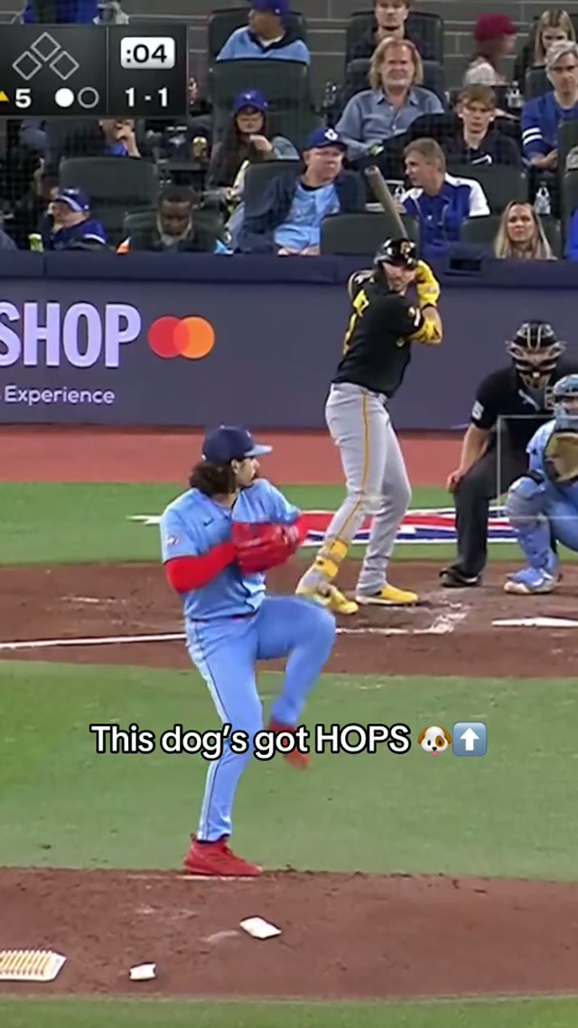 Our favourite dog 👏 #MLB #BlueJays #BlueJays50 #ErnieClement 