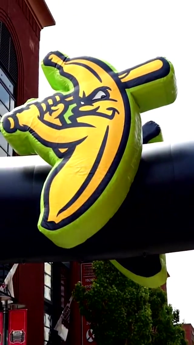🍌MORE BANANAS?!?!🍌 watch til the end to find out when #bananas #bananaball #savannahbananas #baseball