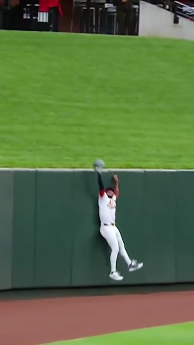 Gloves worthy of gold ⭐️ #rawlings #goldglove #baseball #mlb 