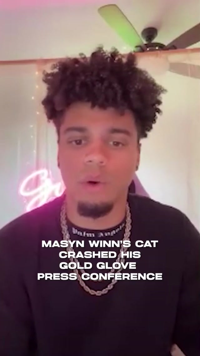 V excited to meet Niko 🐈‍⬛ #cat #pet #catsoftiktok #animals 