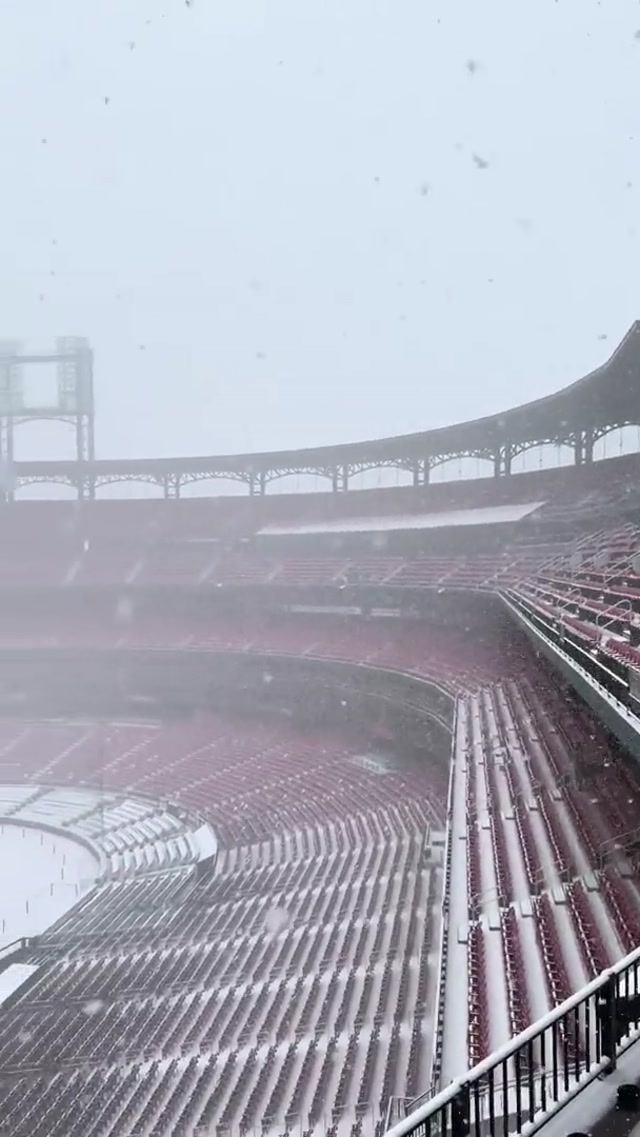 play ball?? #snow #winter #snowday #weather 