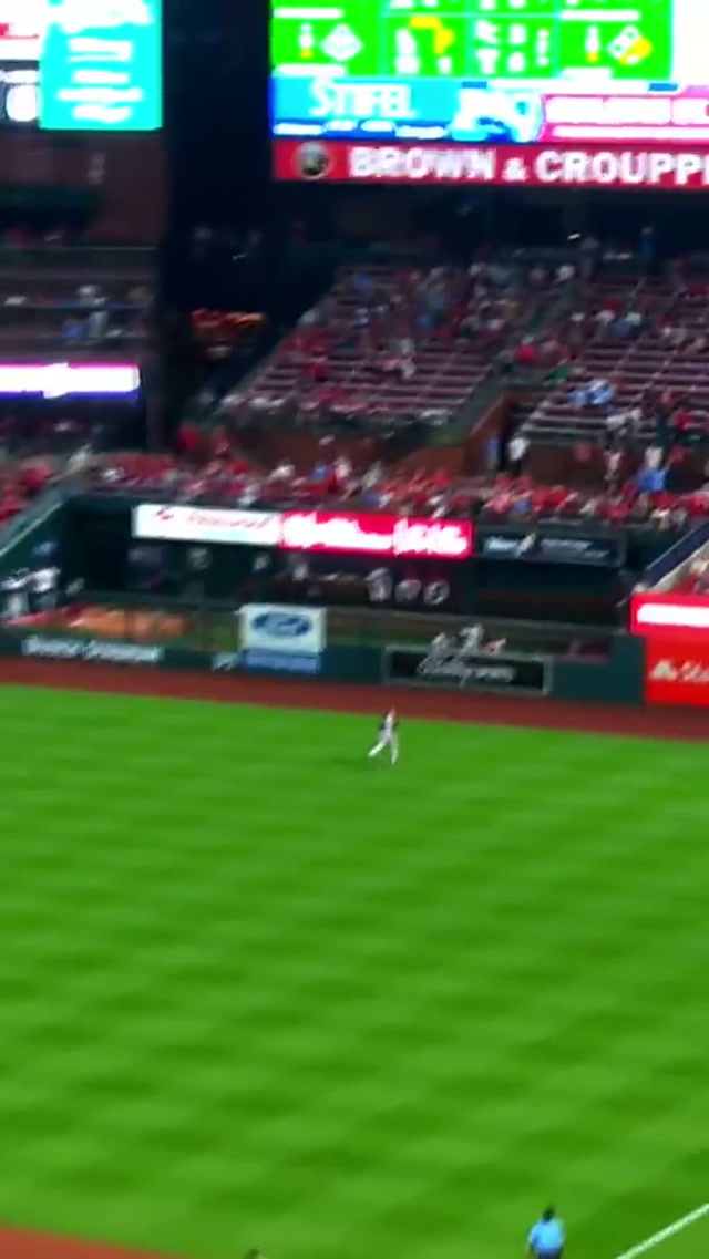 St. Louis Cardinals TikTok video