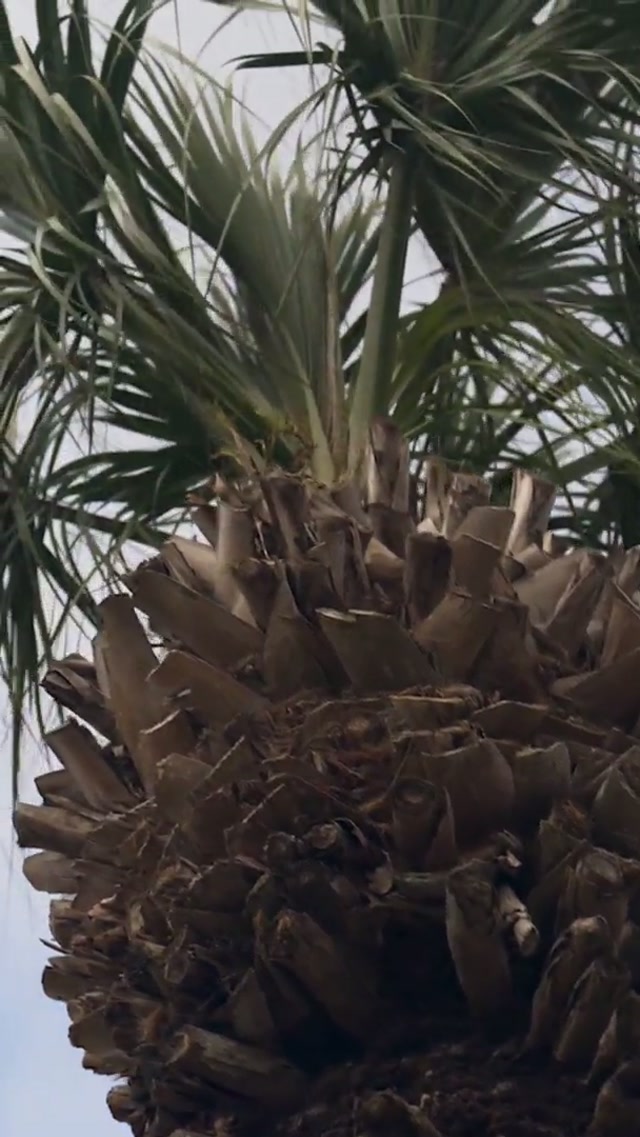 first full squad workout ✅ #springtraining #baseball #mlb #cardinals