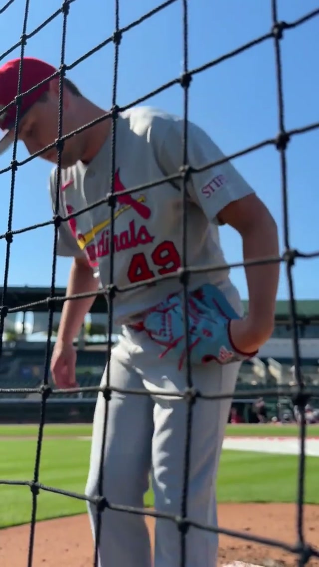 Svounds of Svanson #baseball #ASMR #asmrsounds #mlb 