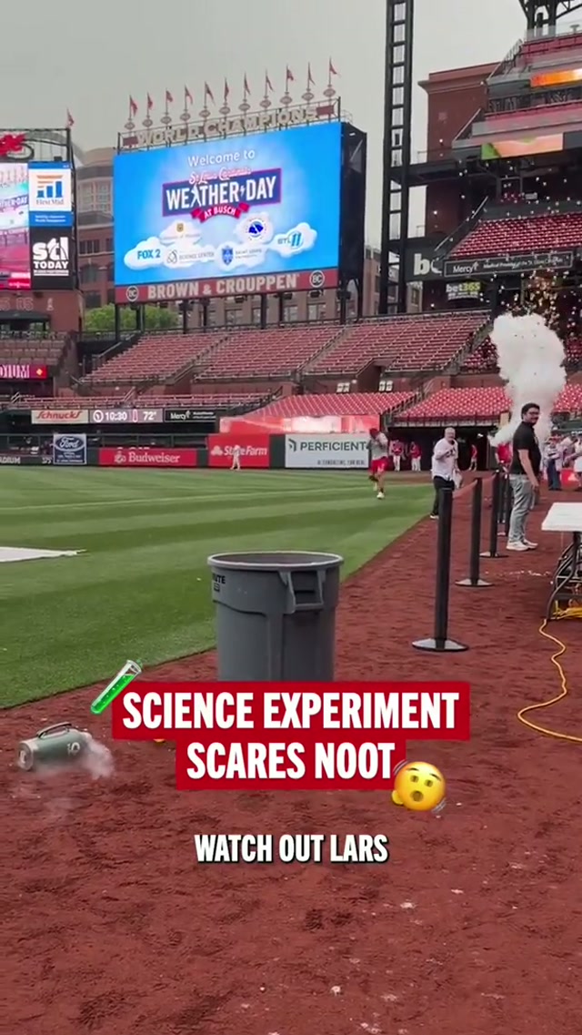 Lars did not, in fact, watch out 🤣 #cardinals #MLB #scienceexperiment #baseball 