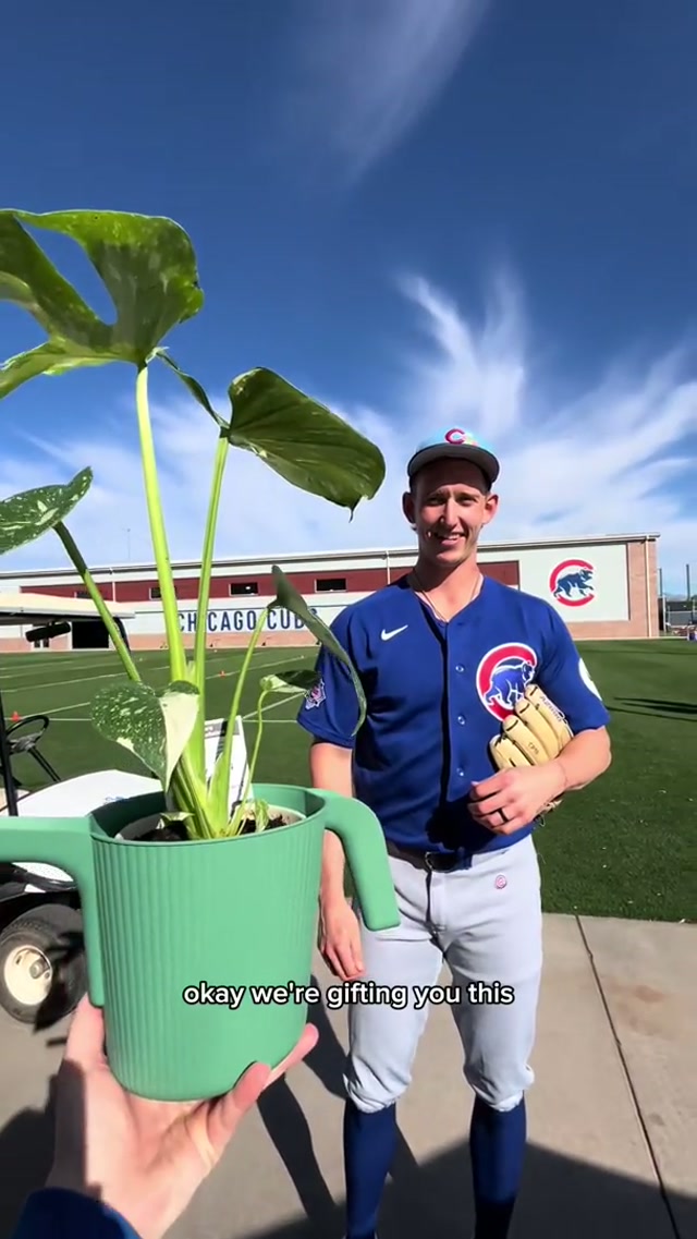 let the plant wars begin. 