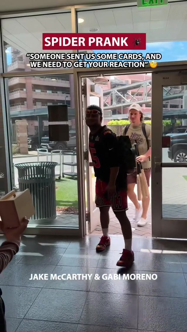 Their spidey senses weren't tingling. #minimic #spiders #mlb 