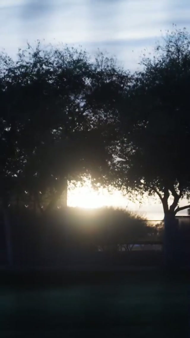 The pitchers and catchers have arrived! #dodgers #sports #losangeles 