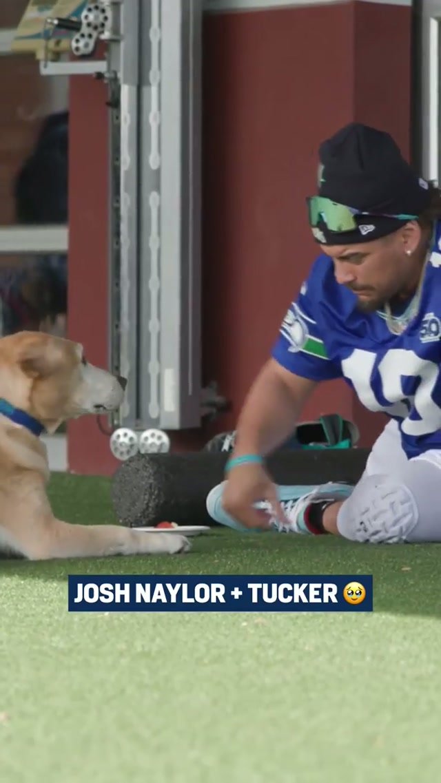 we're pawsitive you’re gonna like this. #mariners #baseball #mlb