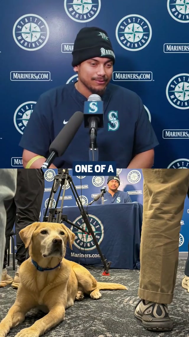 Nayl’s best friend 🐾 #mariners #baseball #mlb