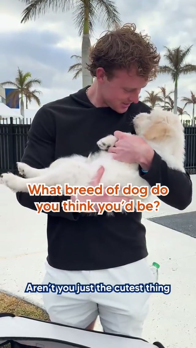 Just a wholesome video for your feed 🥹🐾 #Mets #puppies #MLB #dogsoftiktok