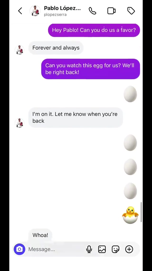 An egg-cellent way to see who is a good babysitter #egg #mntwins #mlb 