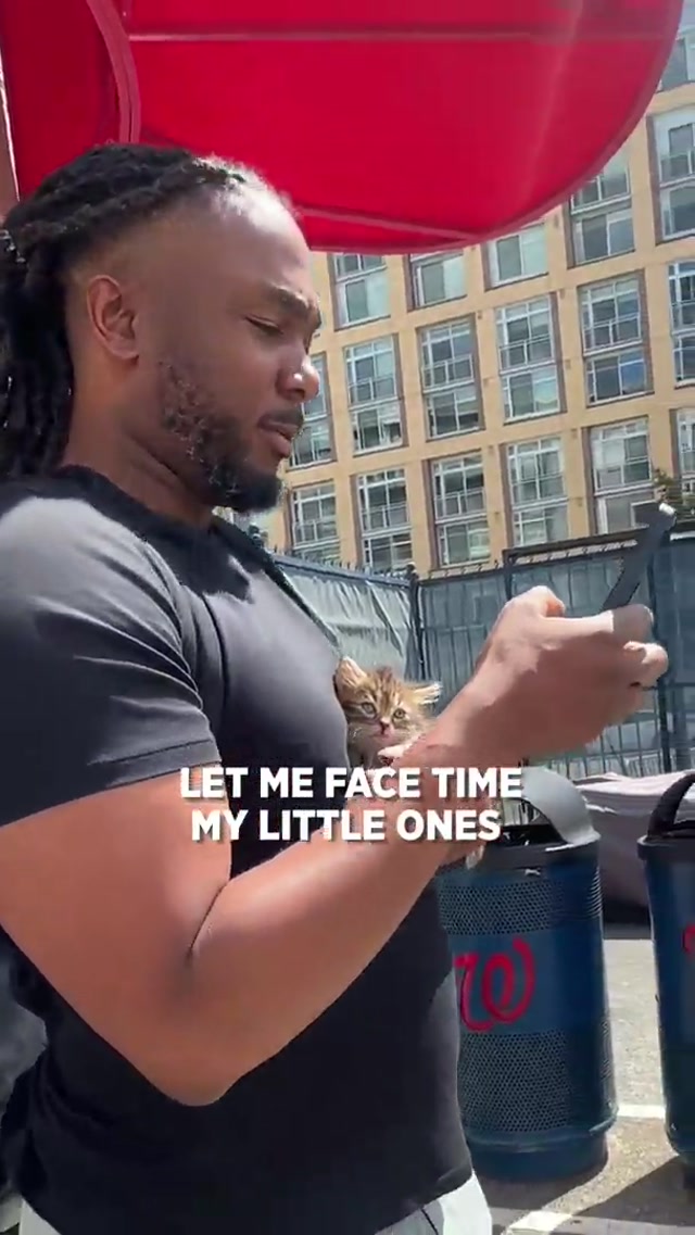 need petunia and Josh Bell on cameo expeditiously #little #tiny #baby #kitten #mlb 