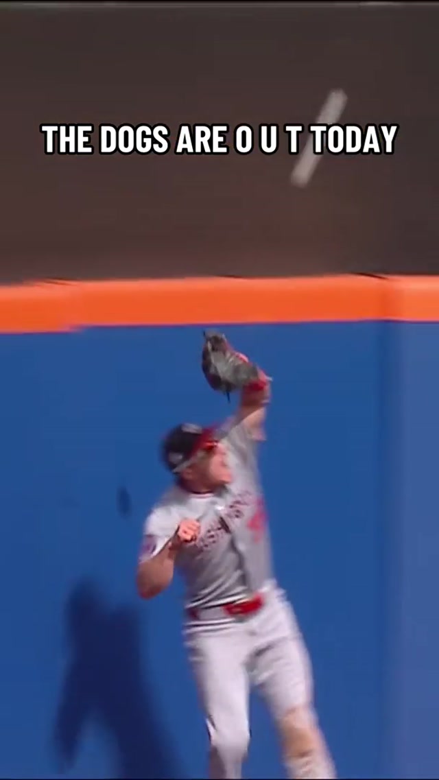 free feet on main don’t get used to it #mlb #baseball #sports #idkidk 