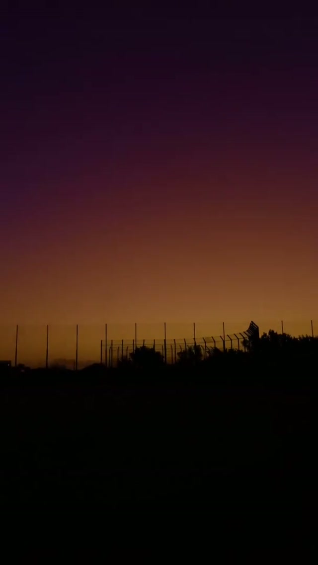 BASEBALL TIME 🌴😌 #mlb #natitude #baseball #springtraining 