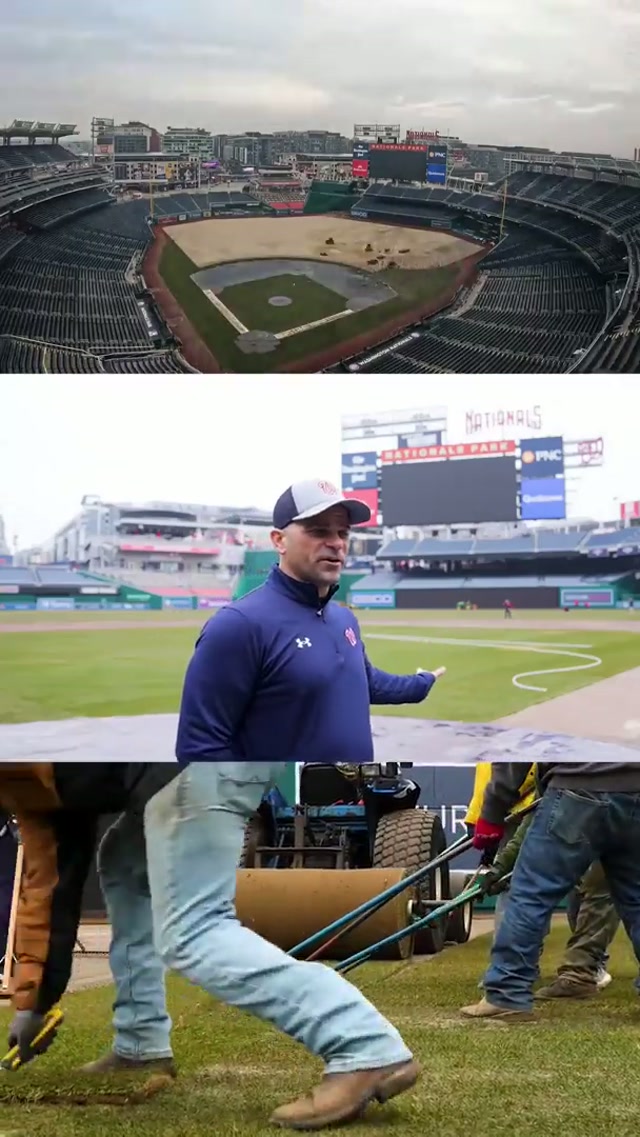new grass, who dis? #bts #mlb #baseball #nationalspark #yardwork