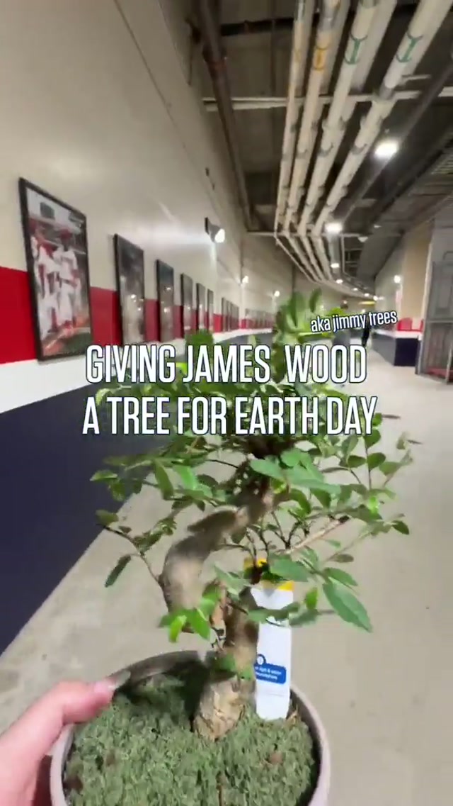 half the social budget is just getting stuff for james he doesn’t want. it’s kind of like when crows get gifts for humans they like #giftguide #surprise #nature #sports 