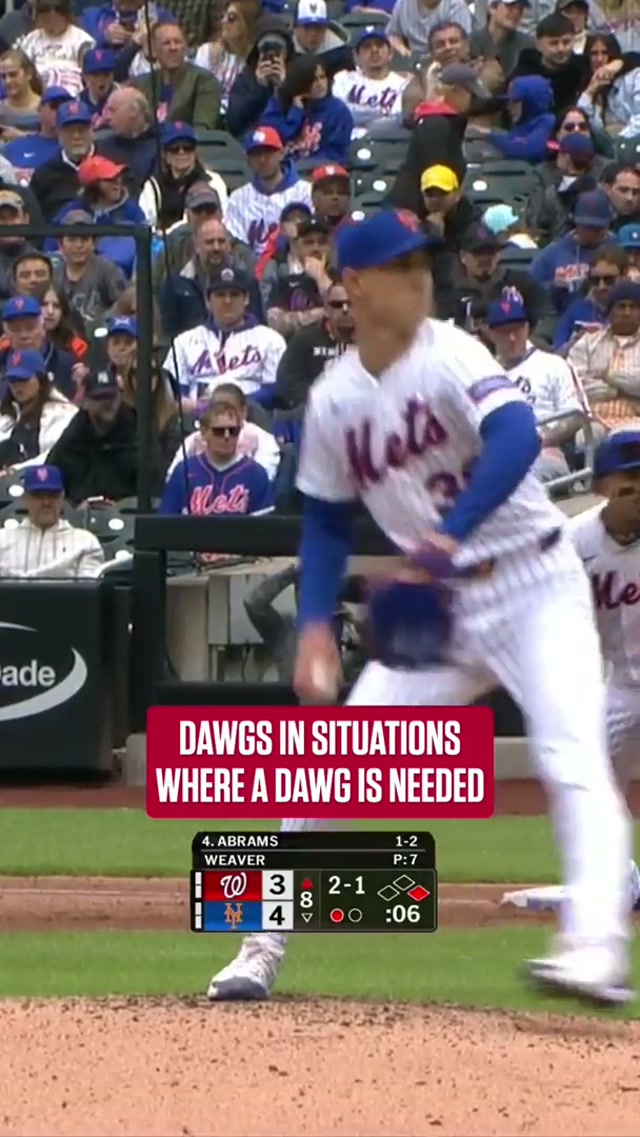 don’t get the dawg riled up 🤧#mlb #highlight #baseball #gamewinner 