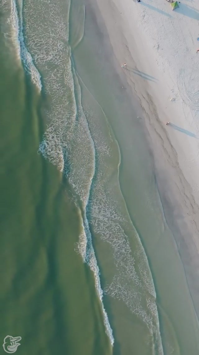 Spring is right around the corner ⚾️

#orioles #springtraining #baseball #mlb #asmr 