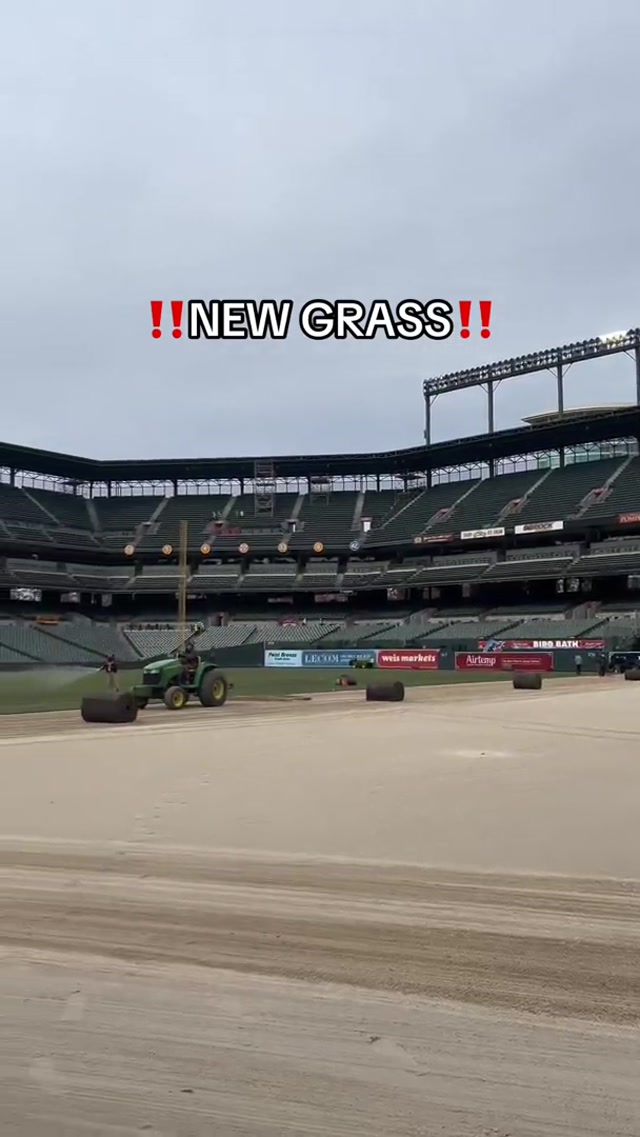omg (oh my grass)

#orioles #newgrass #camdenyards #baseball #MLB