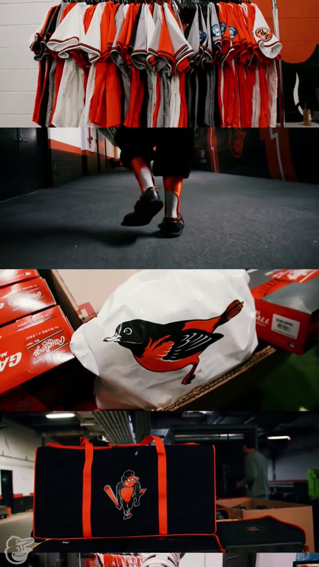 Sights set on Sarasota ⚾️

#springtraining #orioles #baseball #MLB #travel 