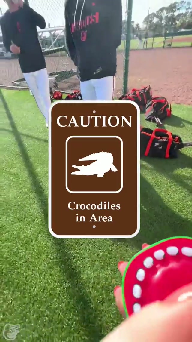 oh snap 🐊

#orioles #springtraining #sarasota #baseball #MLB 