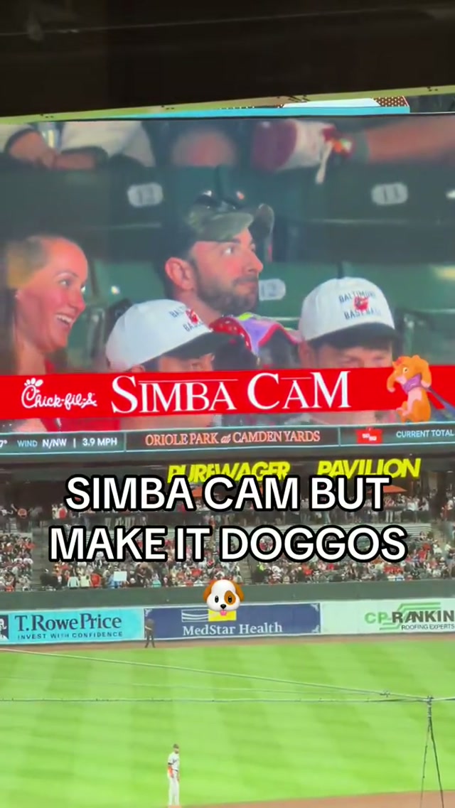 Had some of the best puppers in Baltimore out for Bark in the Park 🐕 