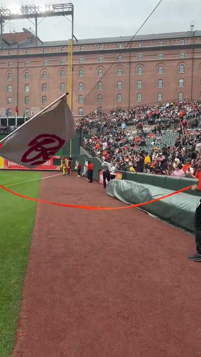 atOrioles is here to report Mustard has won the Hot Dog Race! 🌭 #hotdog #orioles #mustard #baseball 