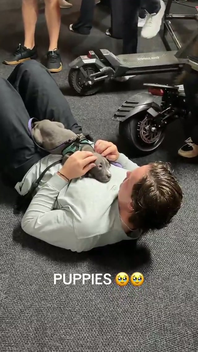 Some special guests showed up today for arrivals 🐶

#orioles #puppies #aww #mlb #socute 