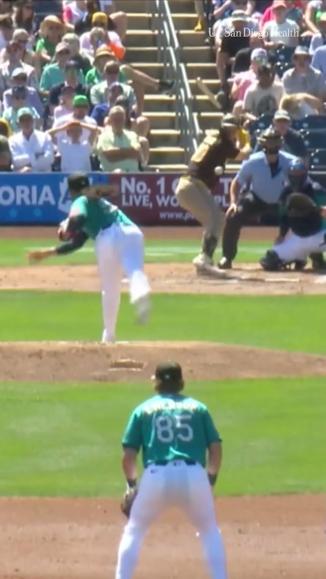 Gavin and Bogey going back-to-back! #MLB #Padres #baseball #homerun 