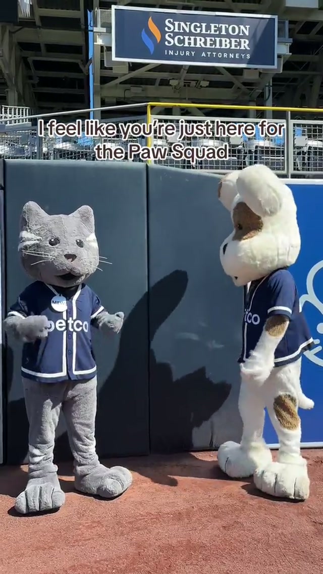 All we do all day is hang out with the Paw Squad 🥹 #padres #dogs #sandiego 