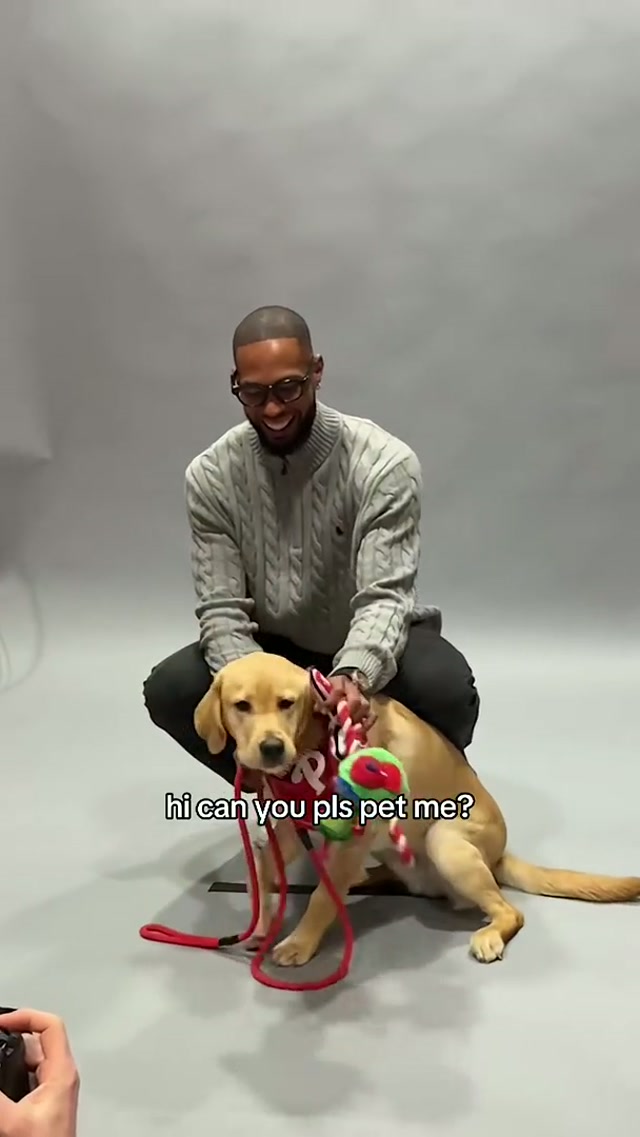 Tugger deserves all of the pets 🐾 #dogsoftiktok #phillies #mlb 