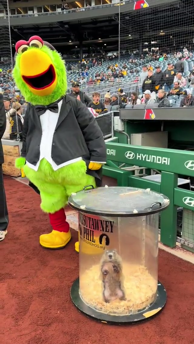 RELEASE ‘EM! #punxsutawneyphil #pirates #pennsylvania 