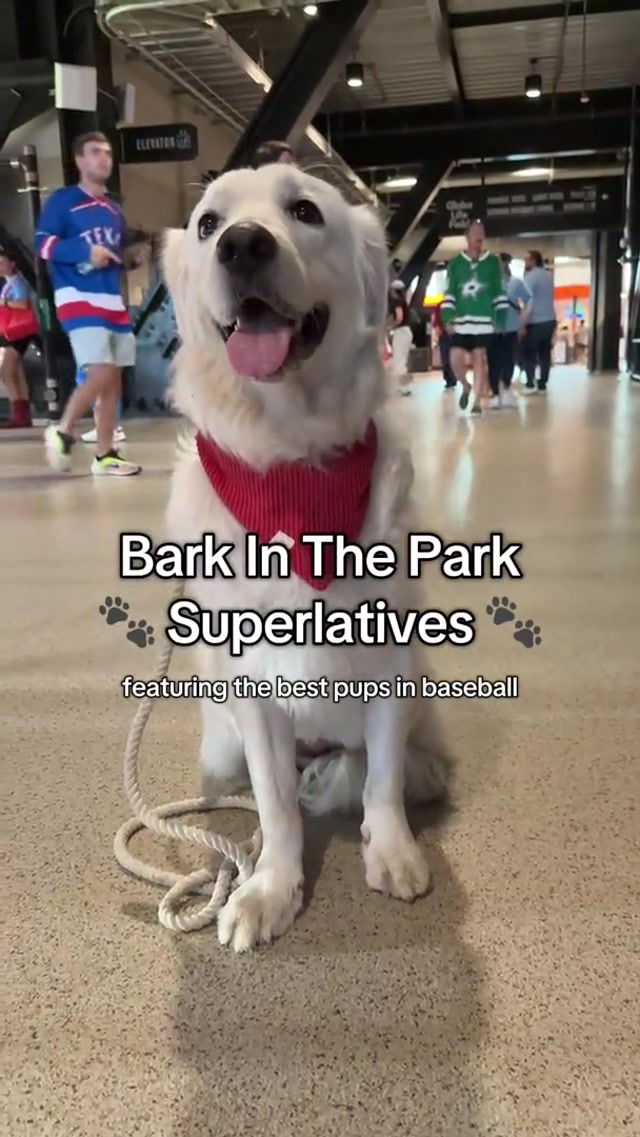 A paw-some day at the ballpark! 