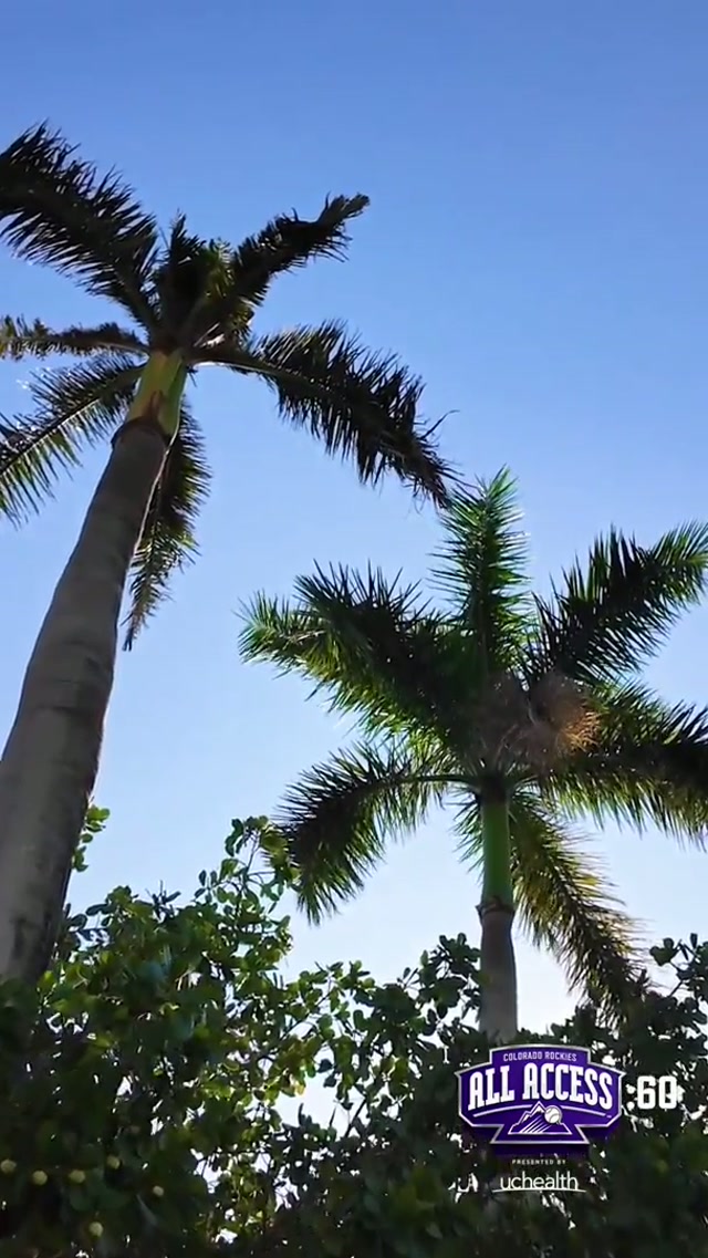 Take a walk on the beach with Willi Castro #rockies #MLB #Miami 