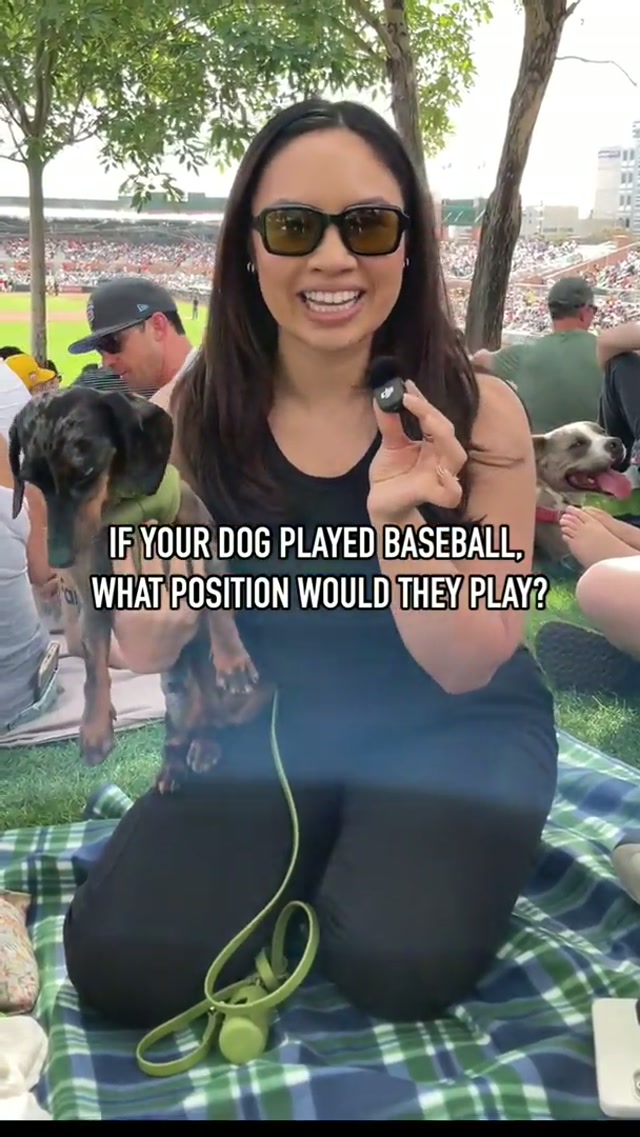 Dog Days: Scottsdale Stadium 🌵
