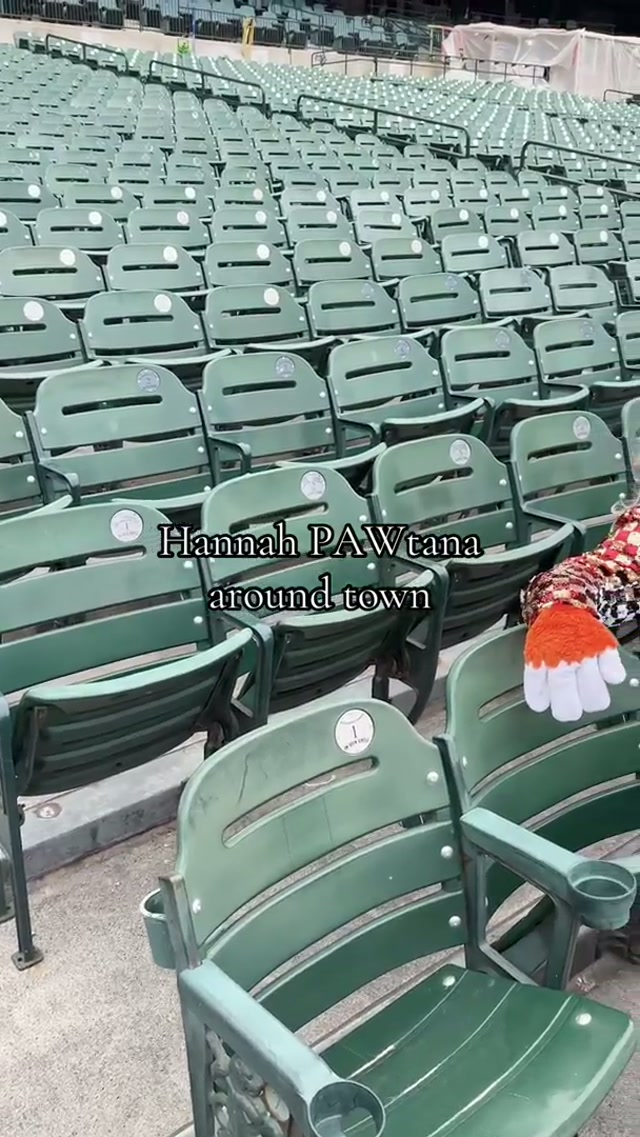 got the best of both worlds 🤷🏼‍♀️

#hannahmontana #hannahmontanareunion #hannahmontanaforever 