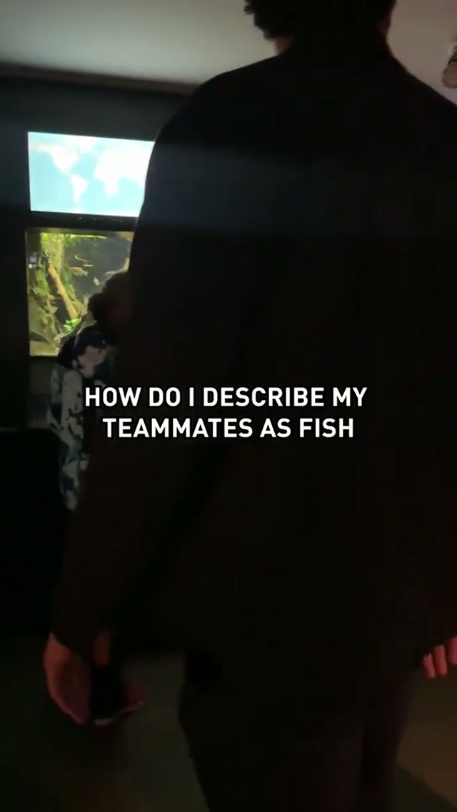 baseball players are a lot like fish if you don’t really think about it

#MLB #Tigers #Aquarium 