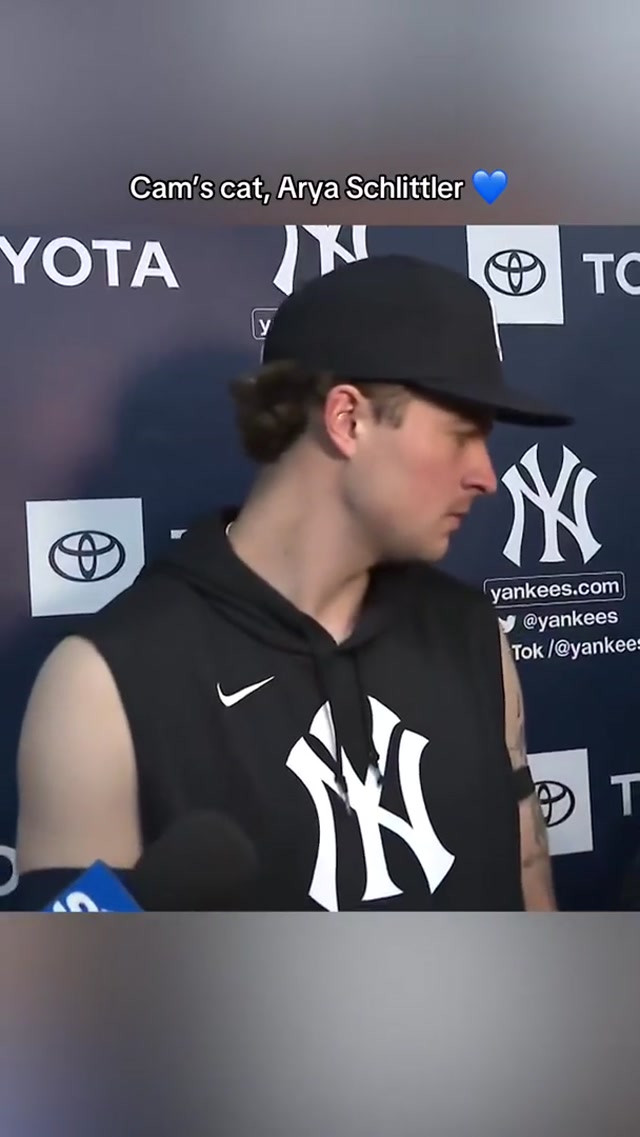 Arya Schlittler 💙 #yankees #mlb #camschlittler #cats 