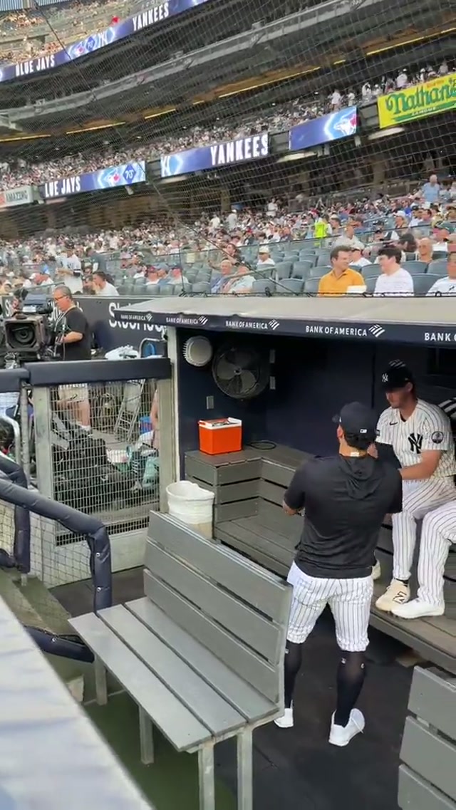 Will Warren Bump Day 🔥 #yankees #baseball #mlb #willwarren #pitcher 