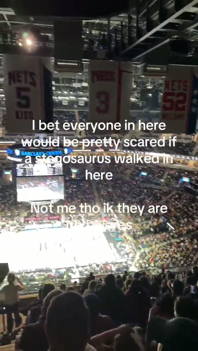 #dinosaur #rawr #brooklynnets 