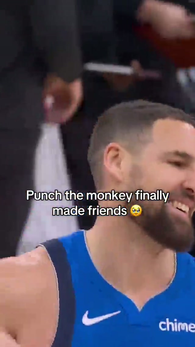 Today is a great day 🥹 #punchmonkey #punch #animals 