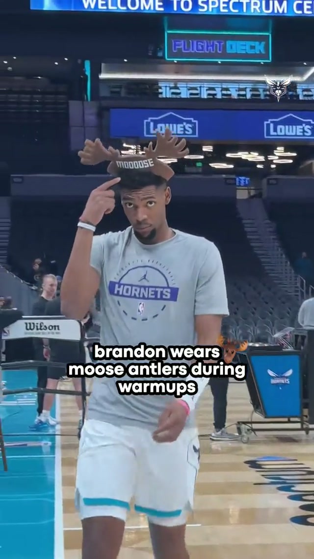 loving this #charlottehornets #brandonmiller #moussadiabate 