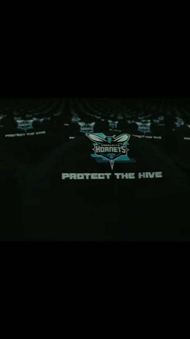 relive last night…🎬 #ProtectTheHive