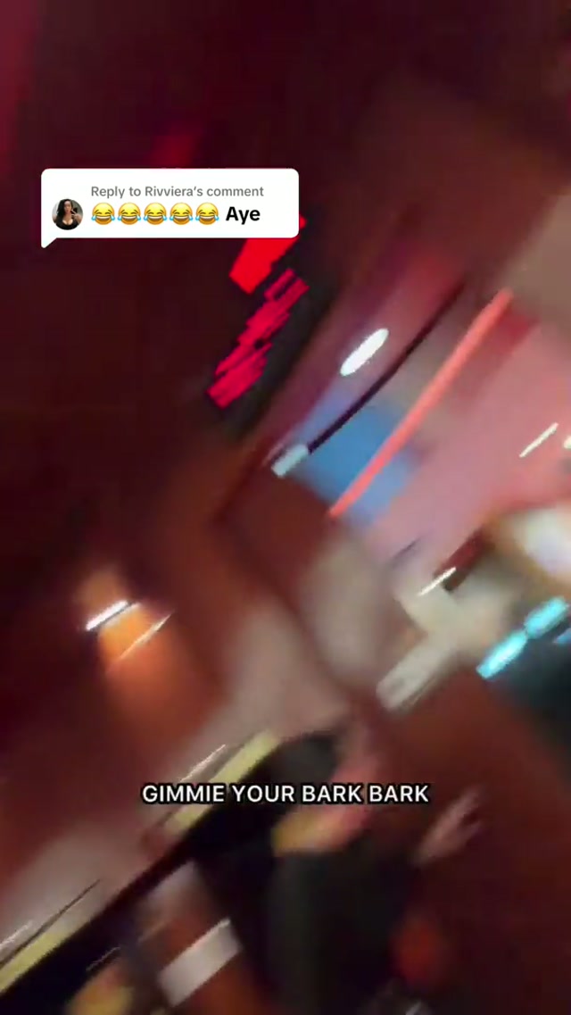 Replying to @Rivviera is this one better? 🤣 #nba #miami #simonefontecchio #bark 