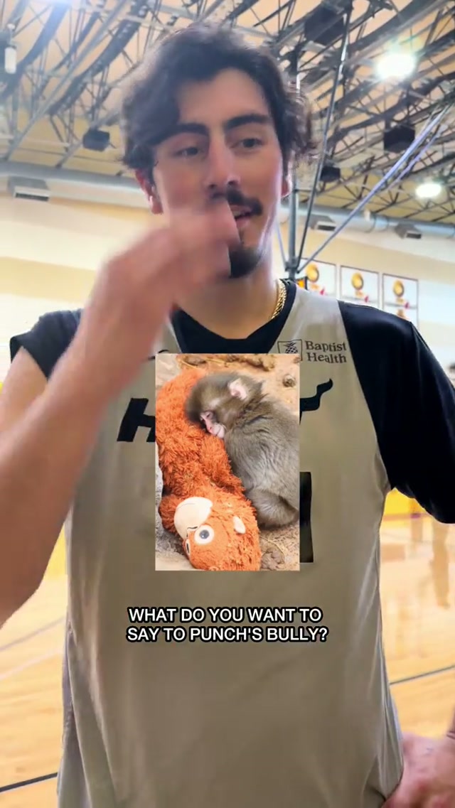 This video is for Punch’s bully and Punch’s bully only 😤😤😤 #punch #bully #miami 